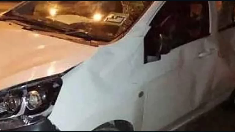 Elephant Herd Tramples Car After Baby Struck Along Malaysian Highway