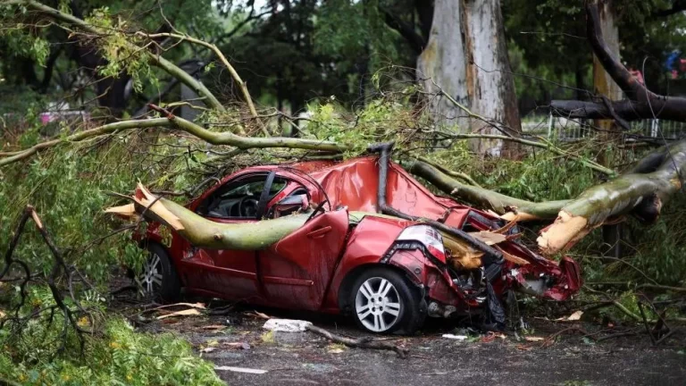 Fourteen Killed In Argentina As Storm Brings 150km/h Winds