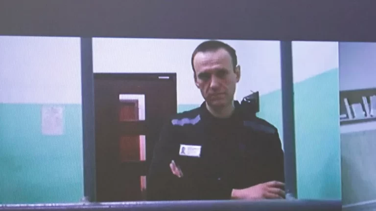 Alexei Navalny: Russian Opposition Leader Found, Says Team