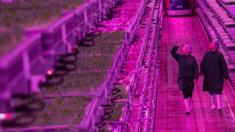 Gloucestershire Vertical Farm Is One Of UK’s ‘Most Advanced’